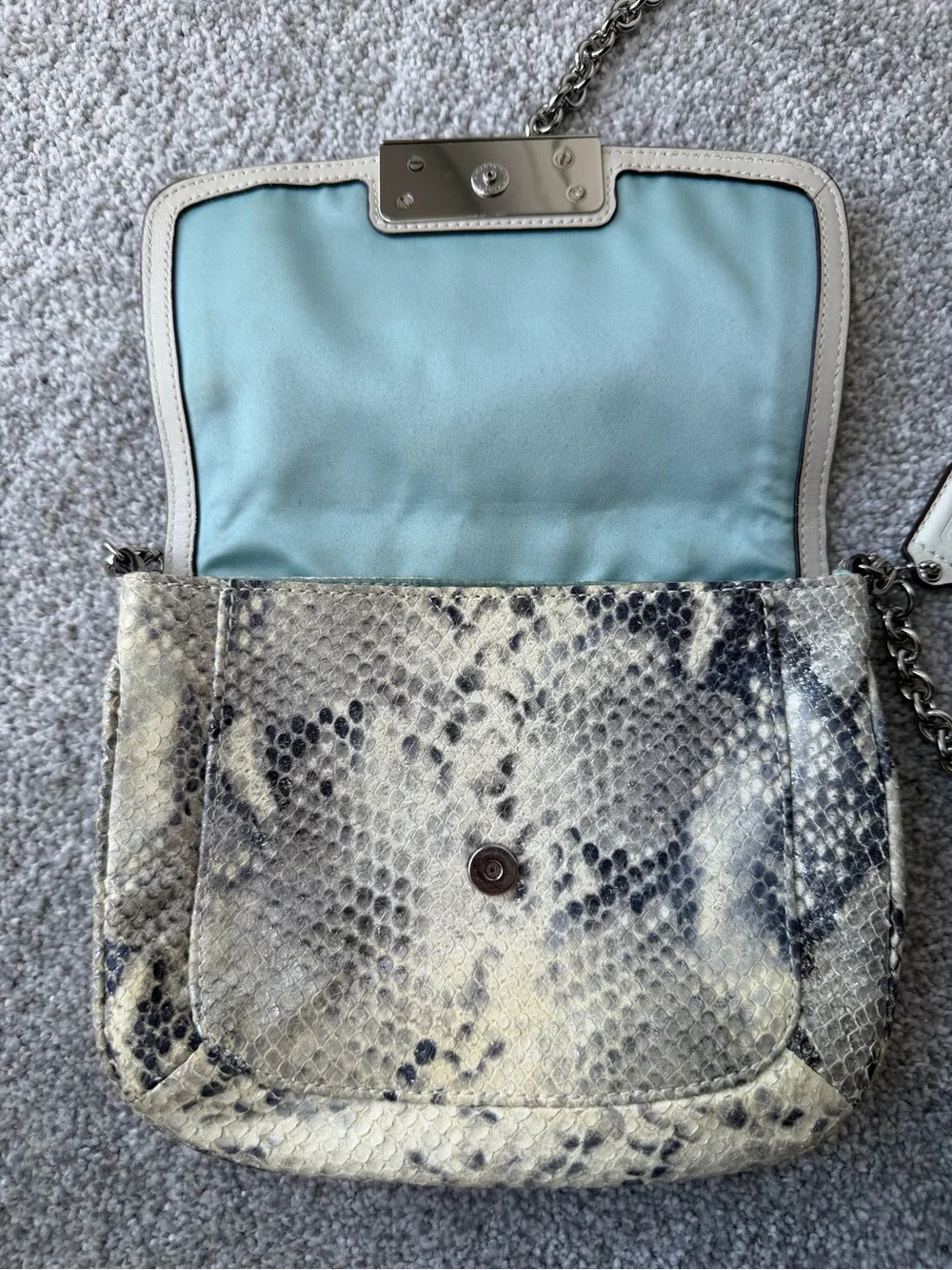 Coach Kristin Python Embossed Leather Crossbody Bag Silver Chain